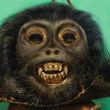 Matthew Bober - Featured artist -January 2018