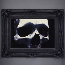 Cam Rackam - Featured artist -January 2018